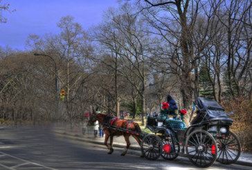 A New York finisce la fiaba delle carrozze