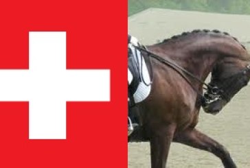 Rollkur: il no della Svizzera