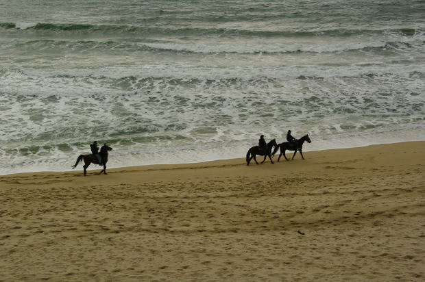 Week end a cavallo sulla spiaggia di Cervia