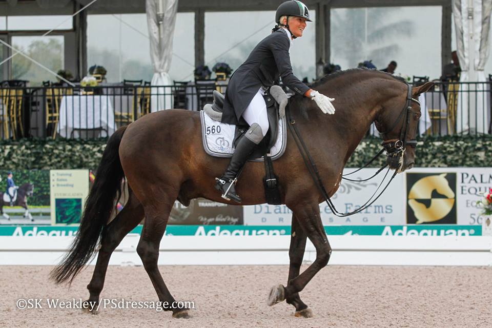 Silvia Rizzo in gara al CDI W di Wellington