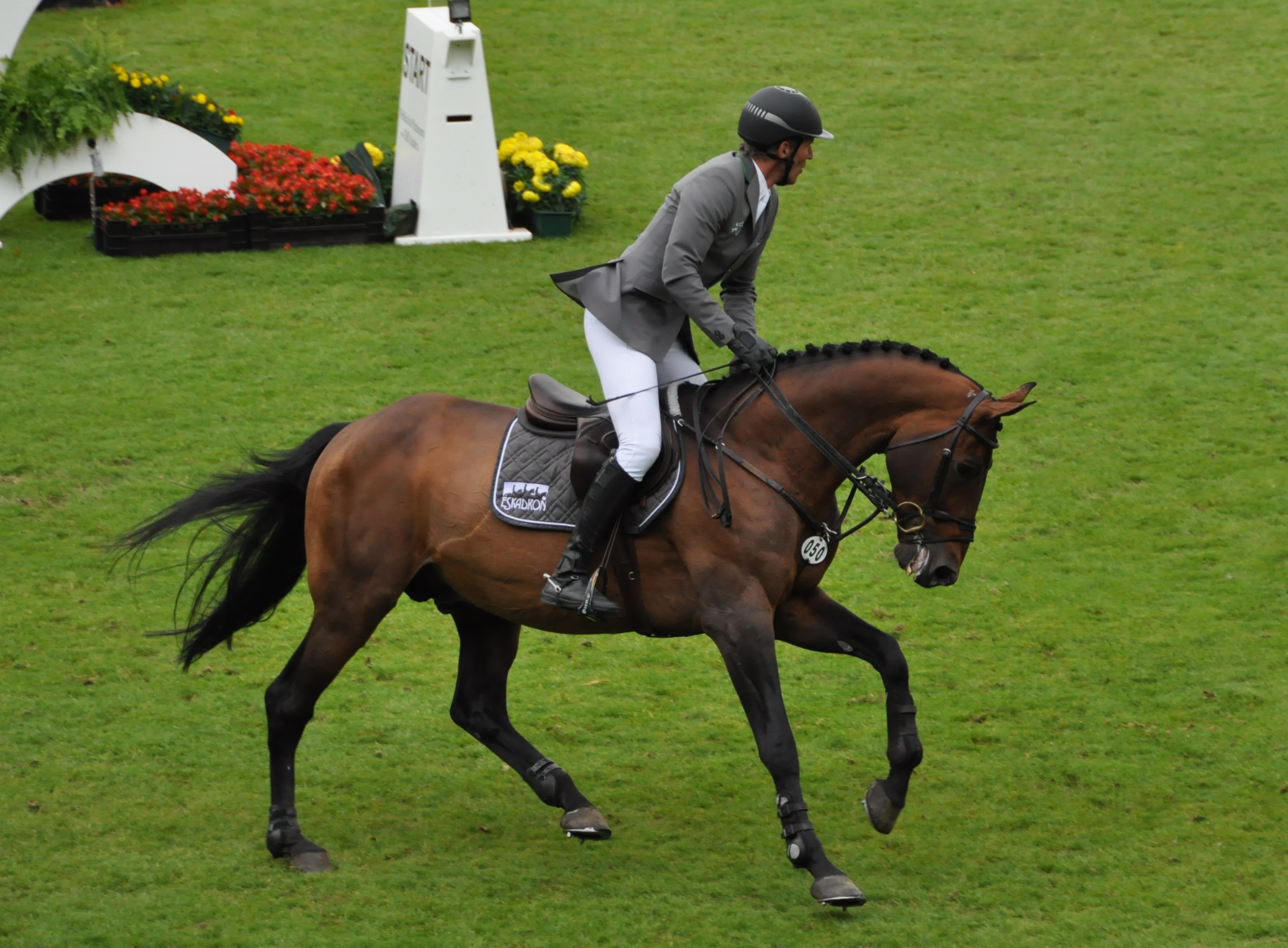 Beerbaum e Chaman conquistano il Gran Premio di Lione