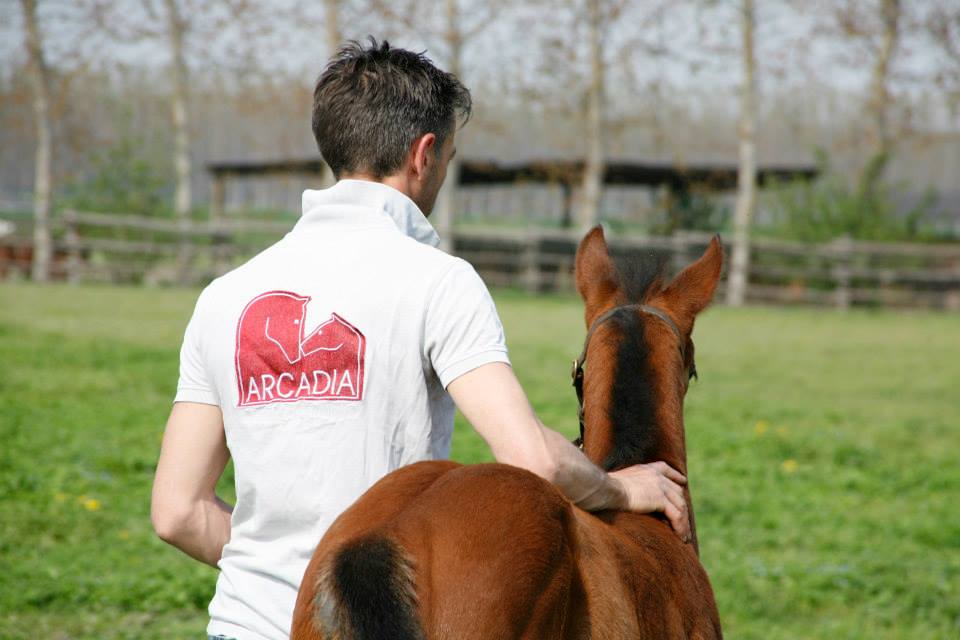 Centro Equino Arcadia, l’importanza di allevare nel modo giusto