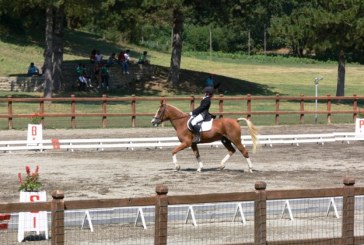 Campionato italiano pony dressage, partito