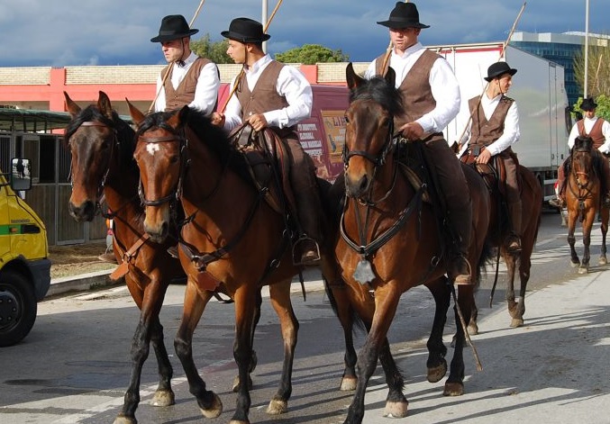 Il Cavallo Maremmano