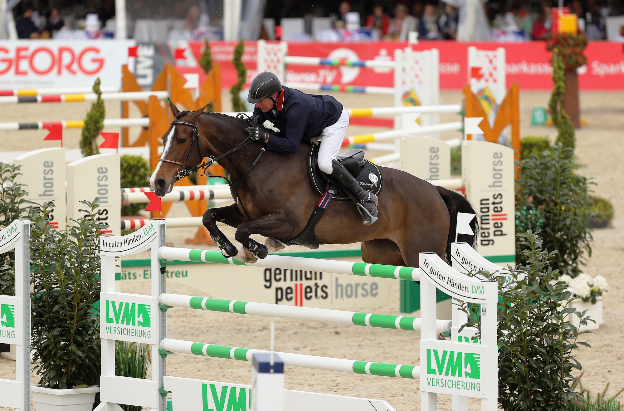 Vittoria del campione britannico John Whitaker al Csi di Hagen