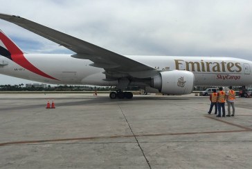 Global Champions Tour Miami, i cavalli sono arrivati