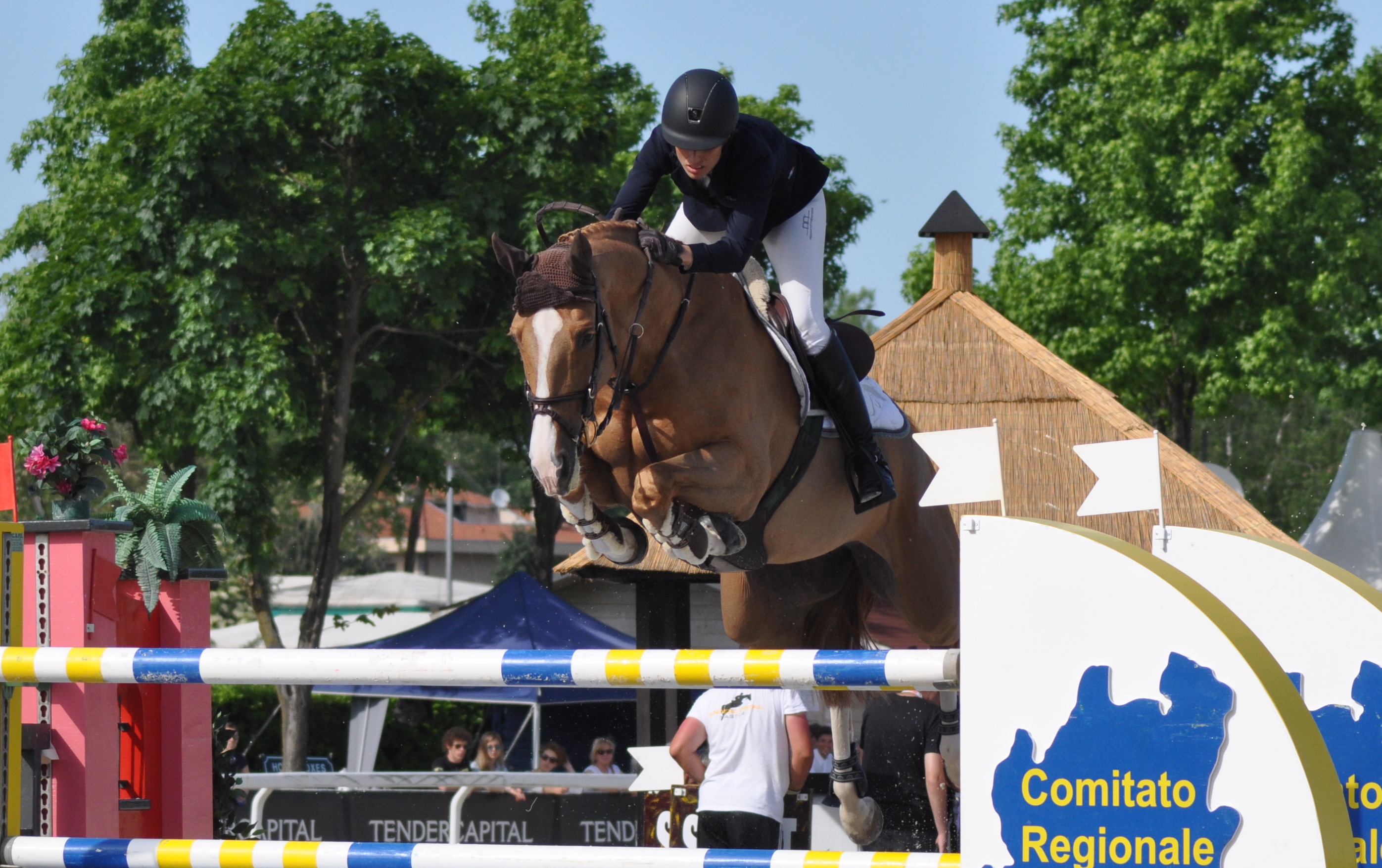 Al Csi di Etrea vince Janika Sprunger in sella all’erede di Palloubet d’Halong