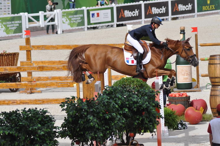 I francesi danno a Flora de Mariposa lo scettro di Horse Of The Year 2015