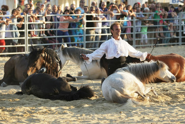Lo spettacolo equestre al Salone del Cavallo