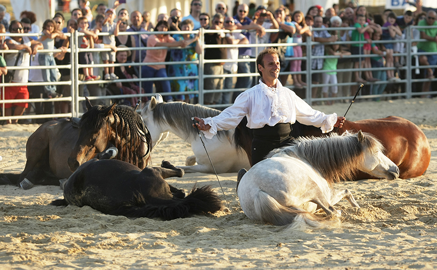 Lo spettacolo equestre al Salone del Cavallo