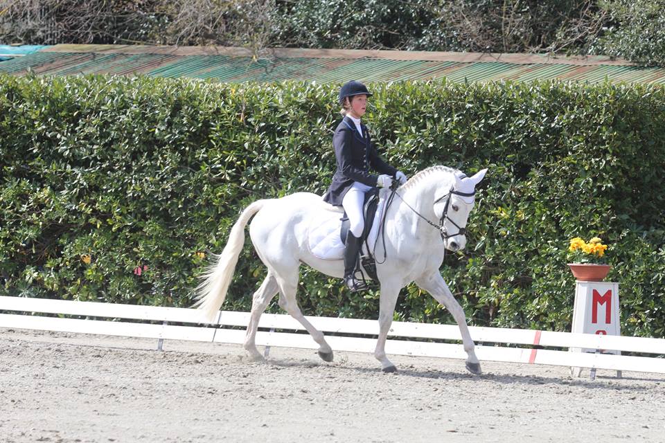 La squadra dei pony conduce al CCIP di Marbach