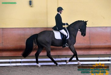 Euro Horse Sport Horses, non solo salto