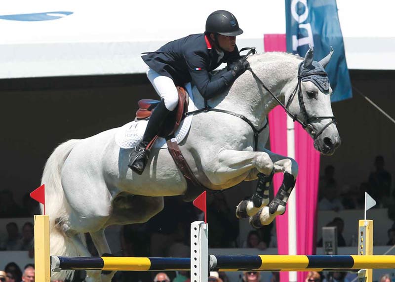 Paddock du Plessis consacrato all’allevamento