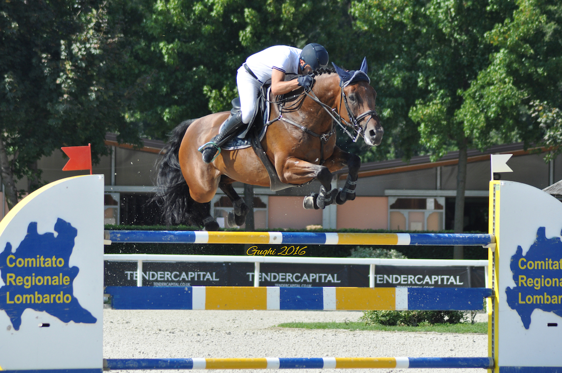 8 binomio italiani in finale a Lanaken per il Longines FEI/WBFSH World Breeding Jumping Championship for Young Horses