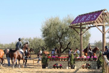 Scuderia Terra degli Ulivi, il “top” dell’equitazione a Ruvo di Puglia