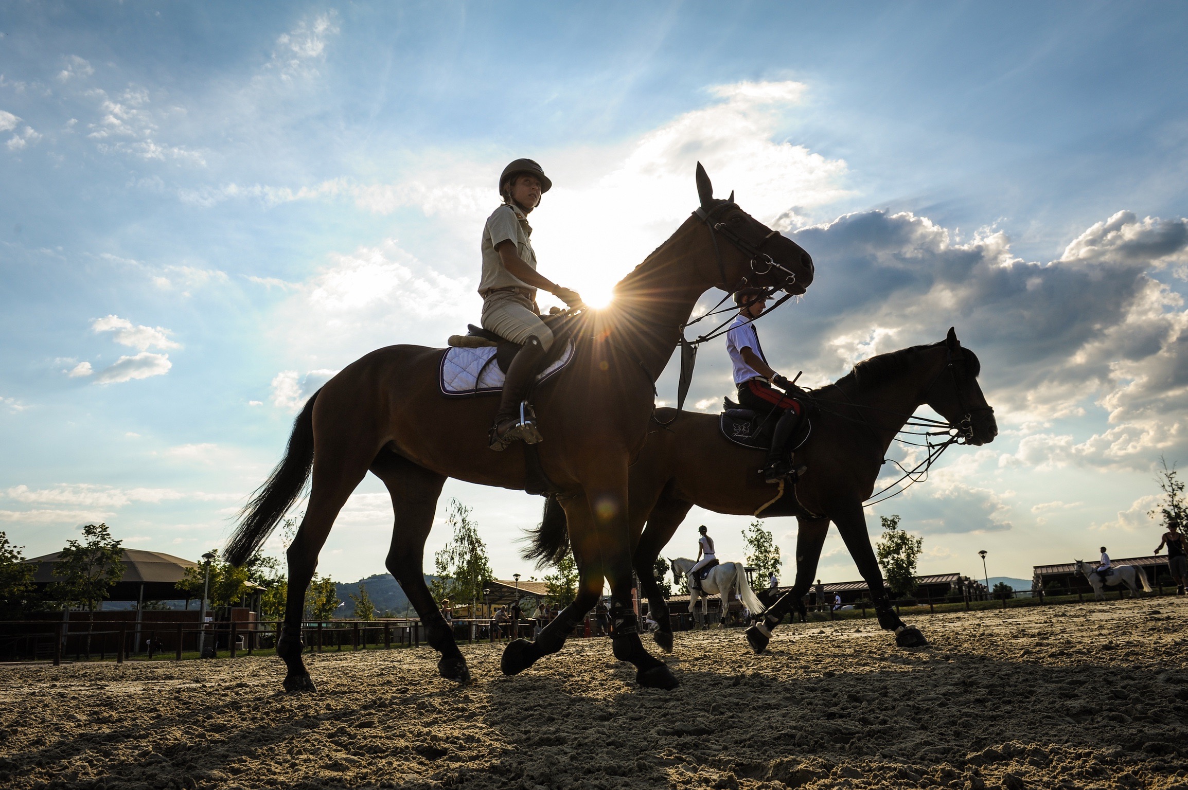 Horses Le Lame, Montefalco chiude l’anno con il salto ostacoli