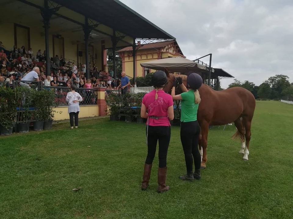 “Per capire il tuo cavallo gira lo specchio verso di te”. Le parole di Andrew McLean in chiusura di ISES Rome 2018